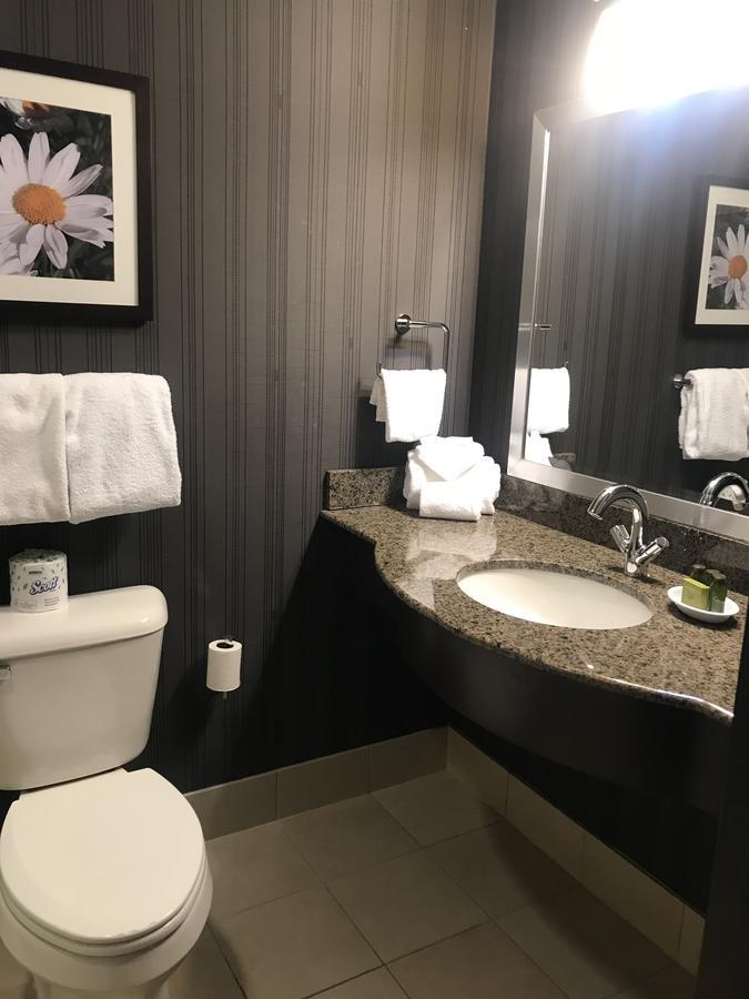 Soaring Eagle Waterpark And Hotel Mount Pleasant Extérieur photo