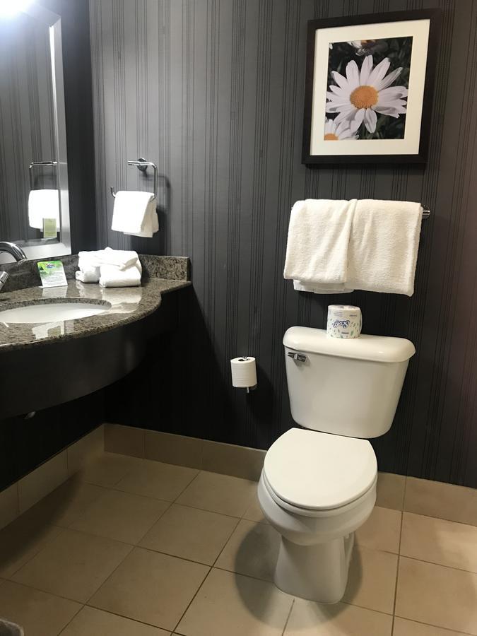 Soaring Eagle Waterpark And Hotel Mount Pleasant Extérieur photo